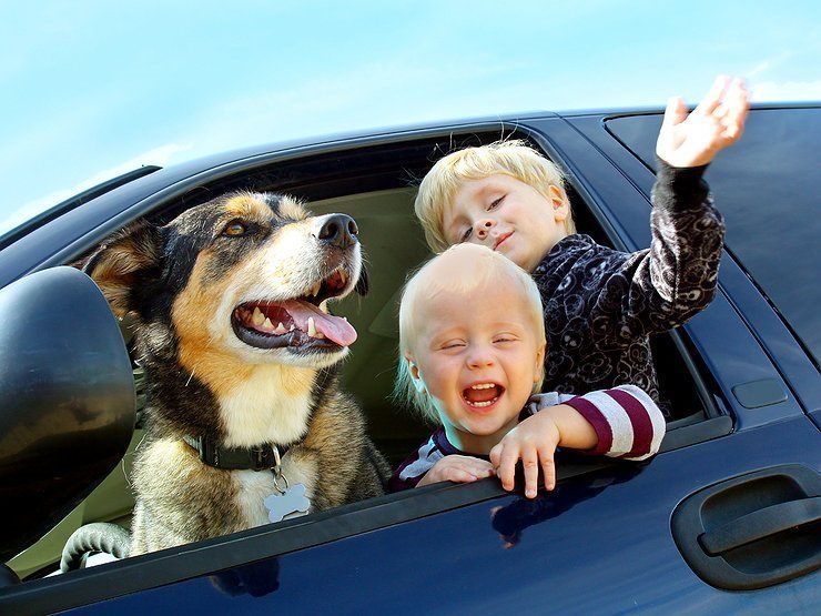 Как максимально обезопасить ребенка в автомобиле