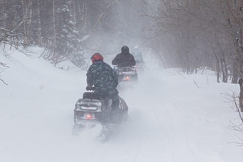 Cнегоход STELS 800 «Росомаха»: лучшее предложение сезона